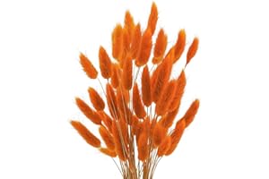Uieke 17’’ Natural Bunny Tails Dried Flowers, 240 Pcs Dried Lagurus Ovatus, Dried Pampas Grass for Flower Arrangements Wedding Centerpieces Home Boho Baby Shower Party Fall Decorations (Orange)