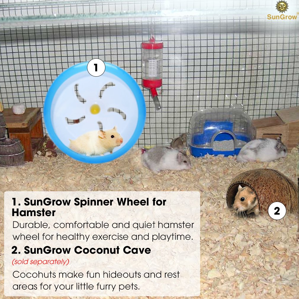 Fun Spinner Wheel for Small Pets -- Durable and Comfortable Spinning Exercise Toy from SunGrow - As Quiet as Library - Convenient 7” Diameter Perfect for Hamsters, Gerbils, Mice and Guinea Pigs