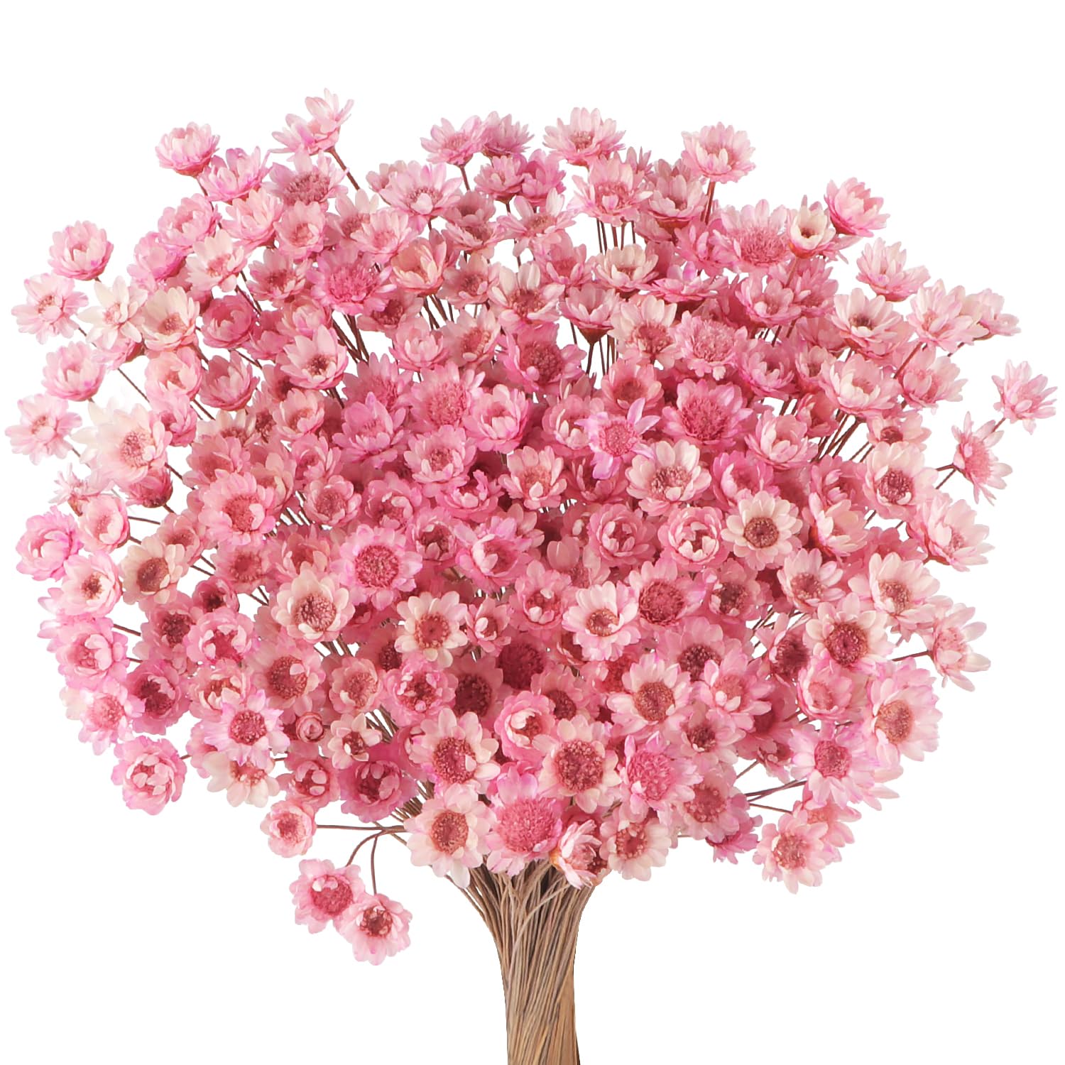 300 PCS Dried Flowers Brazilian Small Daisy Decorative Dried Flowers Pink Mini Daisy Mini Dried Baby's Breath Chamomile Bouquet for Holiday Party Decoration Diy Home Wedding Dried Floral Arrangements