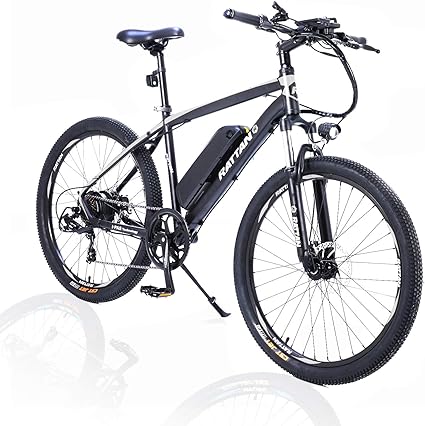 rattan electric bike