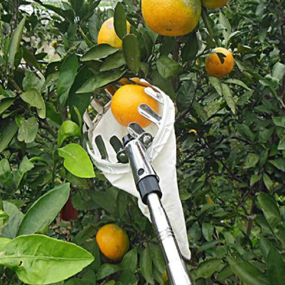 Outdoor Fruit Picker - Labor Saving Garden Picking Device Tool with Bag Basket - Farm Harvest Catcher - Equipment for Getting Fruits - Easy Reach for Orange Peach Pear