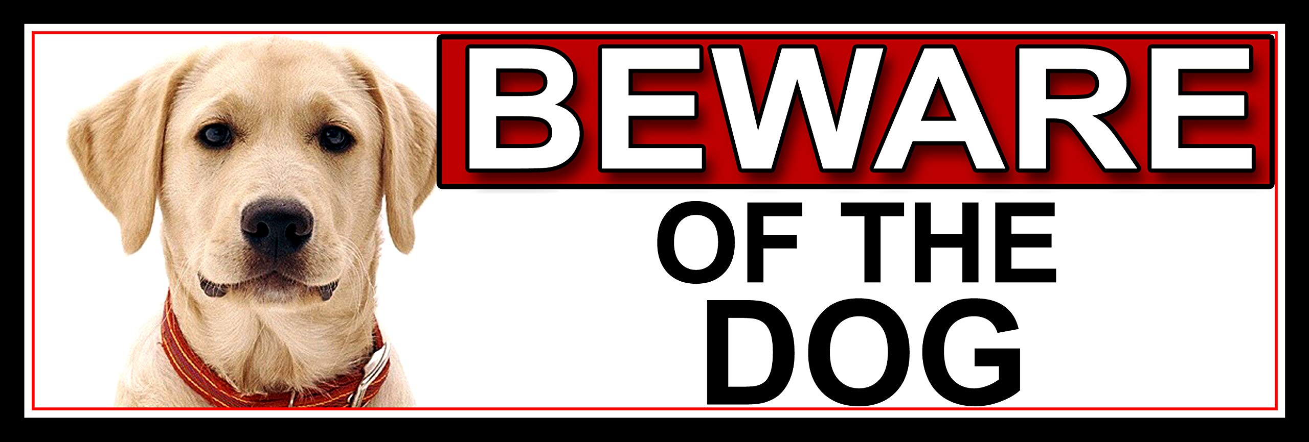 SHAWPRINT Yellow Labrador BEWARE OF THE DOG METAL GATE SIGN 266mm x 87m. (553H2)