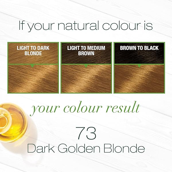 GARNIER NUTRISSE HAIRCOLOR – 73 HONEYDIP (DARK GOLDEN BLONDE) 1 EACH