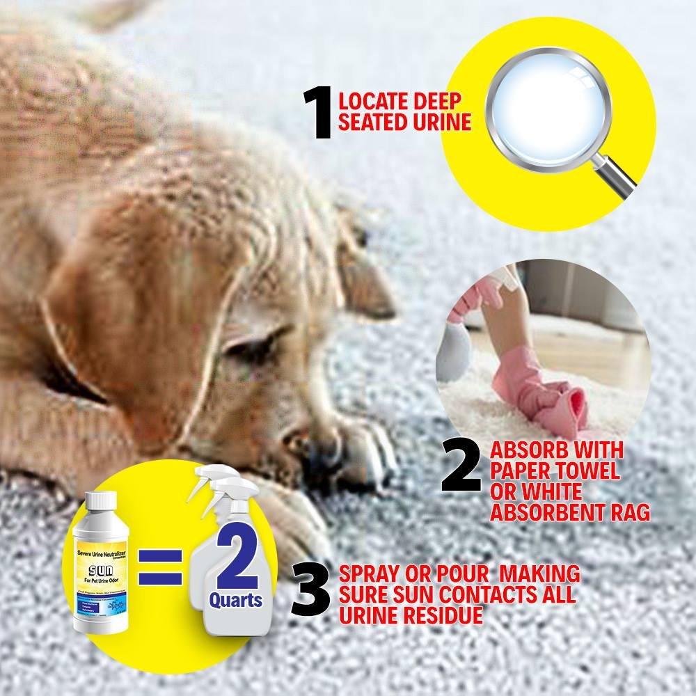 Severe Urine Neutralizer for Dog and Cat Urine Best Odor Eliminator