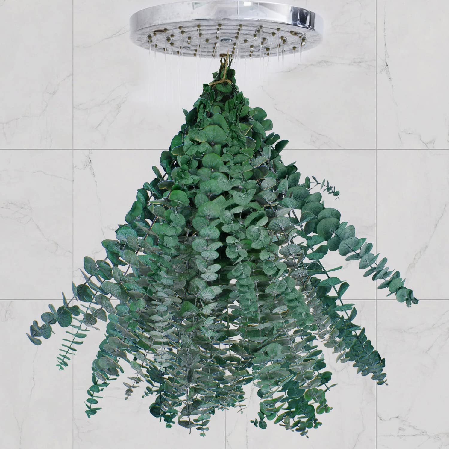 Dried & Preserved Flora - 20pcs Dried Eucalyptus for Shower - Real Eucalyptus Stems,17 '' Fresh Natural Eucalyptus Leaves & Aromatic for Shower,Home Decor