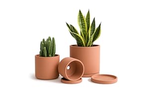 D'vine Dev Terracotta Pots for Plants, 4.2 Inch 5.3 Inch 6.5 Inch, Succulent Planter Pot with Drainage and Saucer, 40-T-A-0