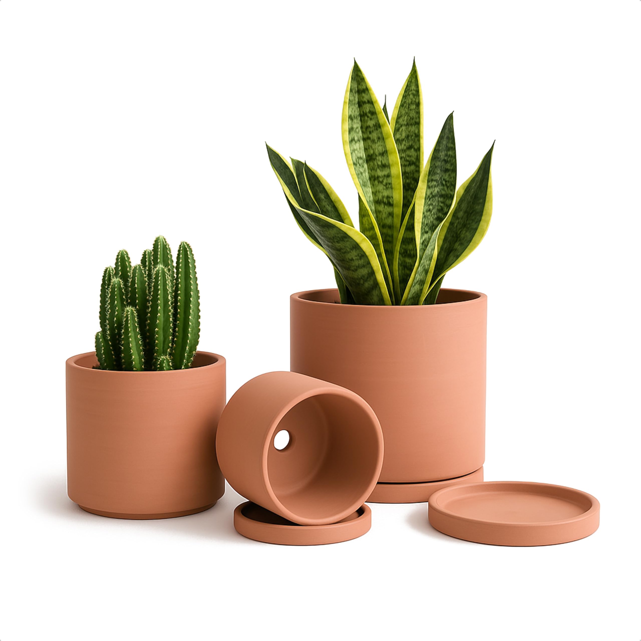Photo 1 of D'vine Dev Terracotta Pots for Plants, 4.2 Inch 5.3 Inch 6.5 Inch, Succulent Planter Pot with Drainage and Saucer, 40-T-A-0