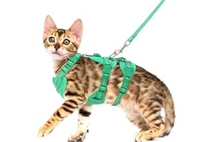Pawfun Fully Escape Proof Cat Harness and Leash Set for Walking, Adjustable Soft Kitten Vest with Reflective Strip for Small Medium Large Adult Cats, Breathable Kitty Harness, Green M