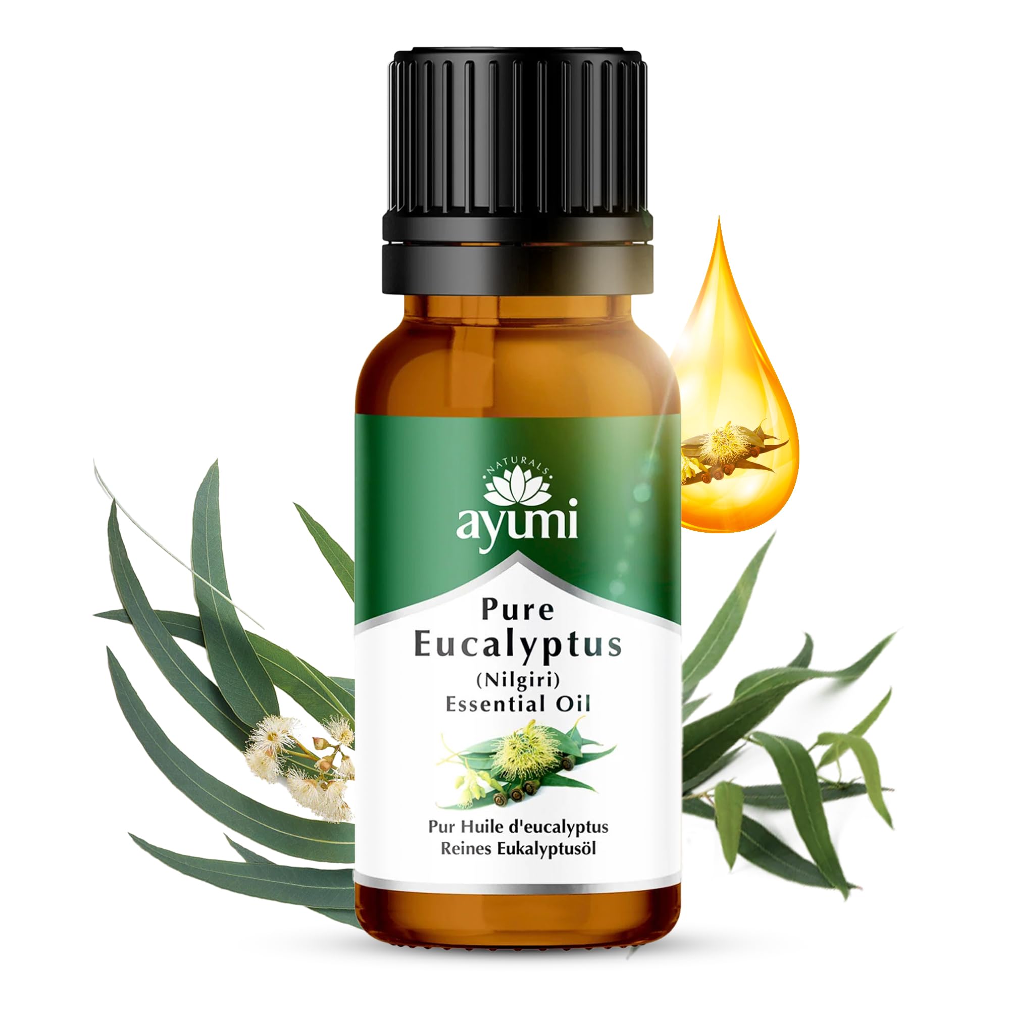 Ayumi Pure Eucalyptus Oil | Decongestant for Cold & Sinus Relief | Room Diffuser Oil for Aromatherapy | Eucalyptus Essential Oil for Muscle Pain Relief & Skincare & Surface Cleaning |20 ml