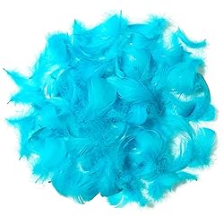 300pcs Turquoise Feathers 2-3 Inches Bulk Feathers