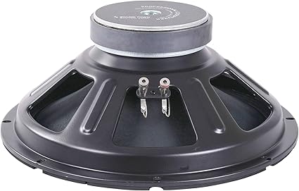 15 inch speaker 300 watt price