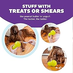 Outward Hound Double-Tuff Durable Interactive Treat