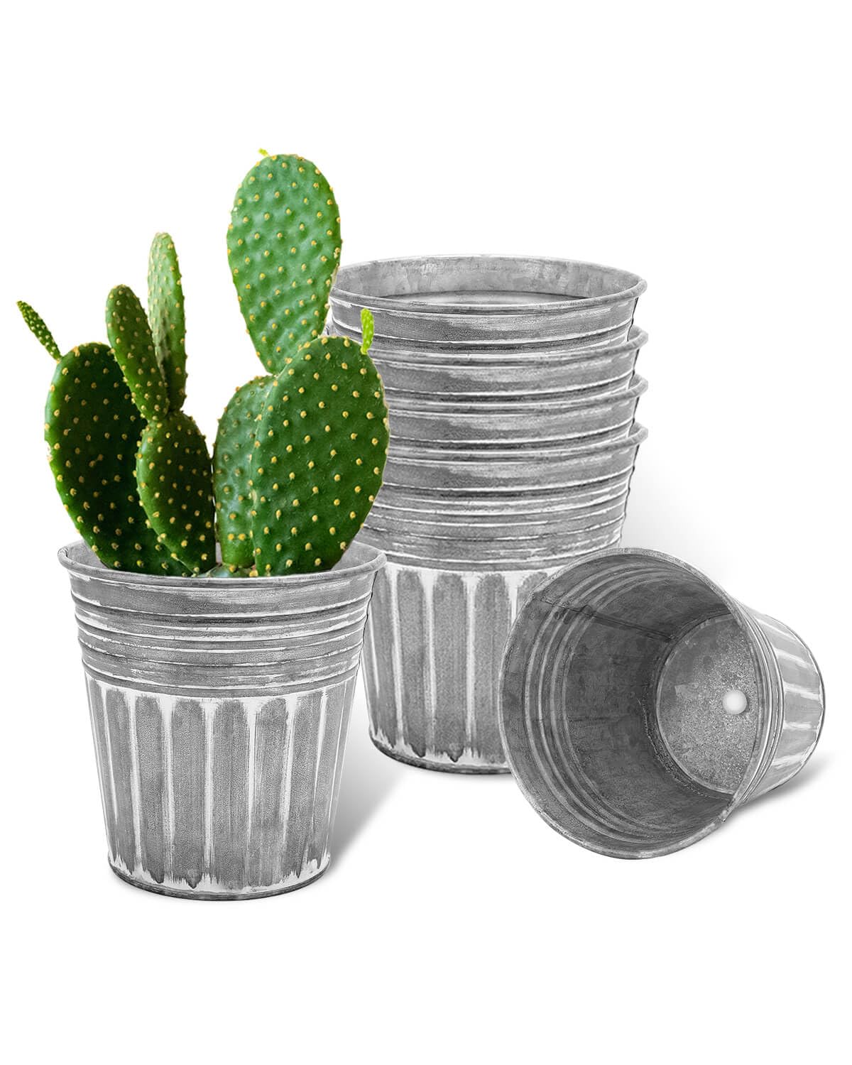 vensovo Galvanised Metal Plant Pots for Indoor Outdoor Use – 6Pcs Rustic Flower Planters with Drainage Hole & Plug, Silver Herb Pots, Small Garden Buckets for Succulents & Flowers, 15.24 CM