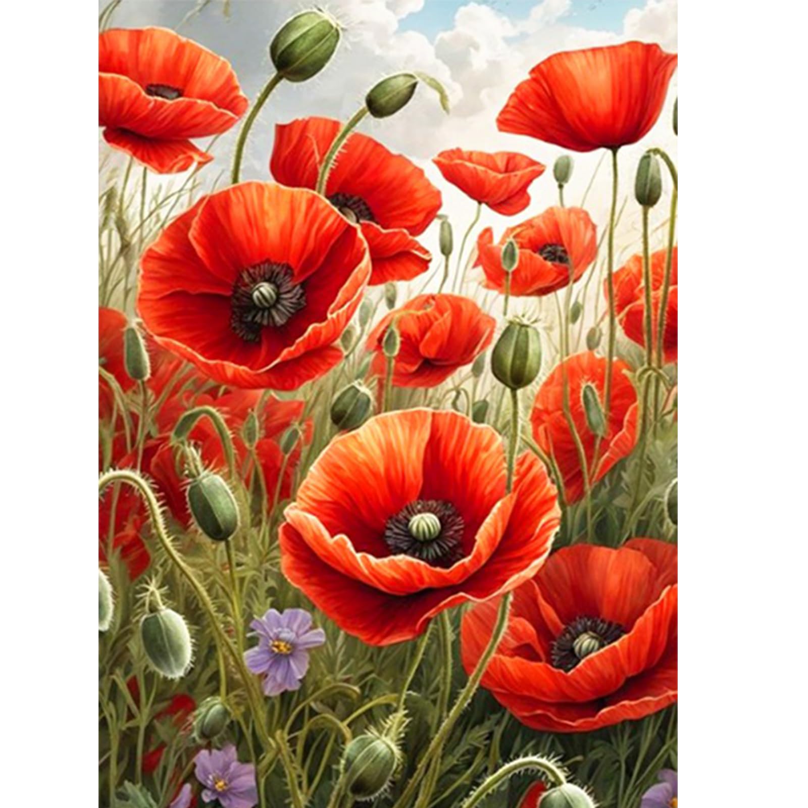 CEOVR Poppy Flower Diamond Painting Art Kits Adults,DIY Diamond Art Painting Kits,12x16 inches,Red Flowers Diamond Art Kits Adults,30x40 cm Souvenir Diamond Painting Craft