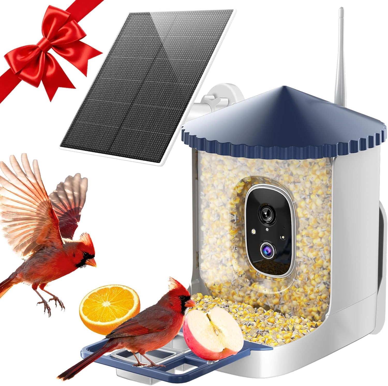 Photo 1 of SOLIOM Smart Bird Feeder with Camera, 2K HD WiFi Bird Watching Camera with AI Identify Birds Species, Live View, Instant Notifications, Full Color Night Vision with 3W Solar Panel, BF02