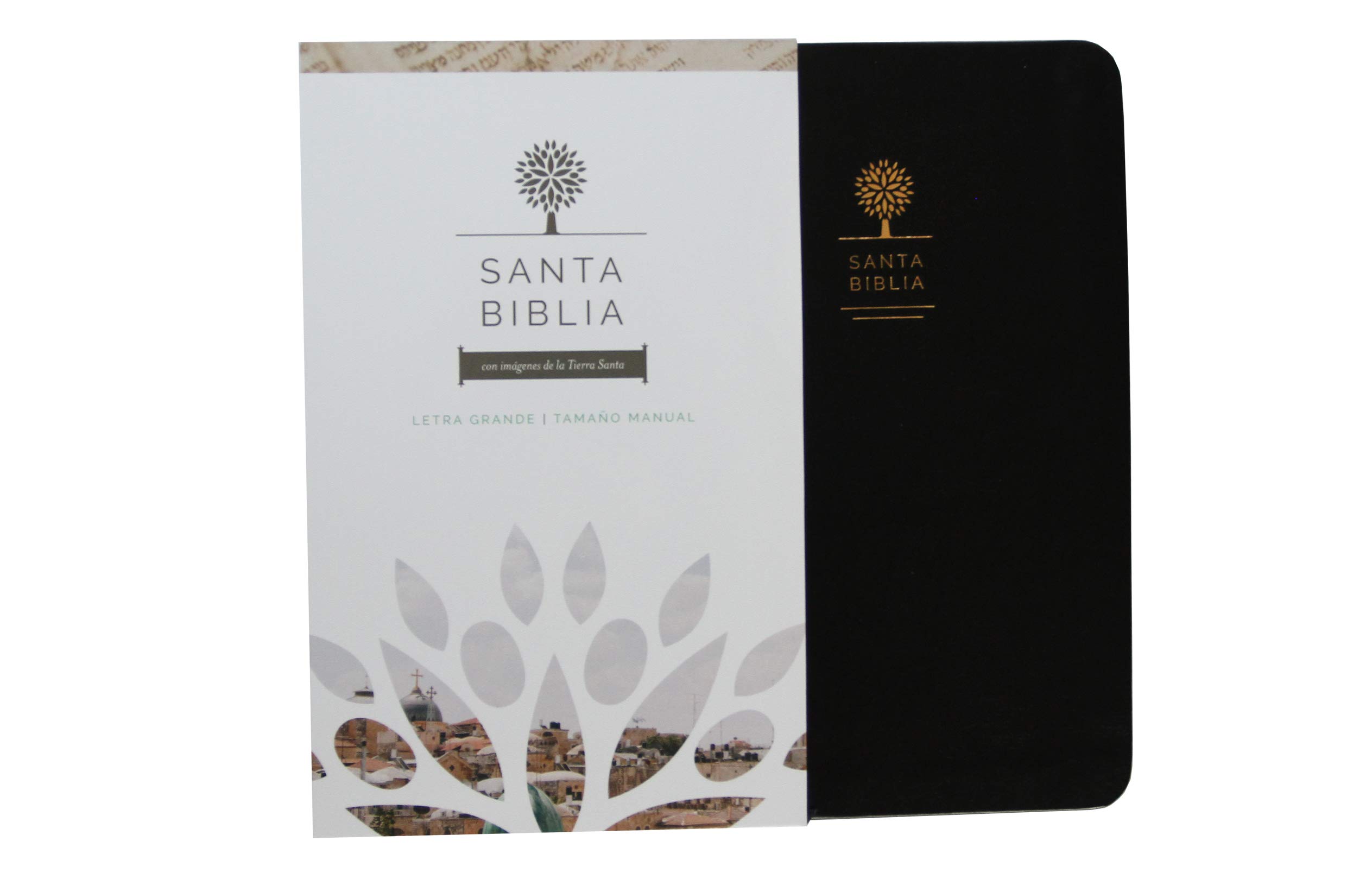Biblia Reina Valera 1960 letra grande. Símil piel color negro, tamaño manual / Spanish Holy Bible RVR 1960. Handy Size, Large Print, Black Leathersoft (Spanish Edition) Biblia Reina Valera 1960 letra grande. Símil piel color negro, tamaño manual / Spanish Holy Bible RVR 1960. Handy Size, Large Print, Black Leathersoft (Spanish Edition) Bonded Leather