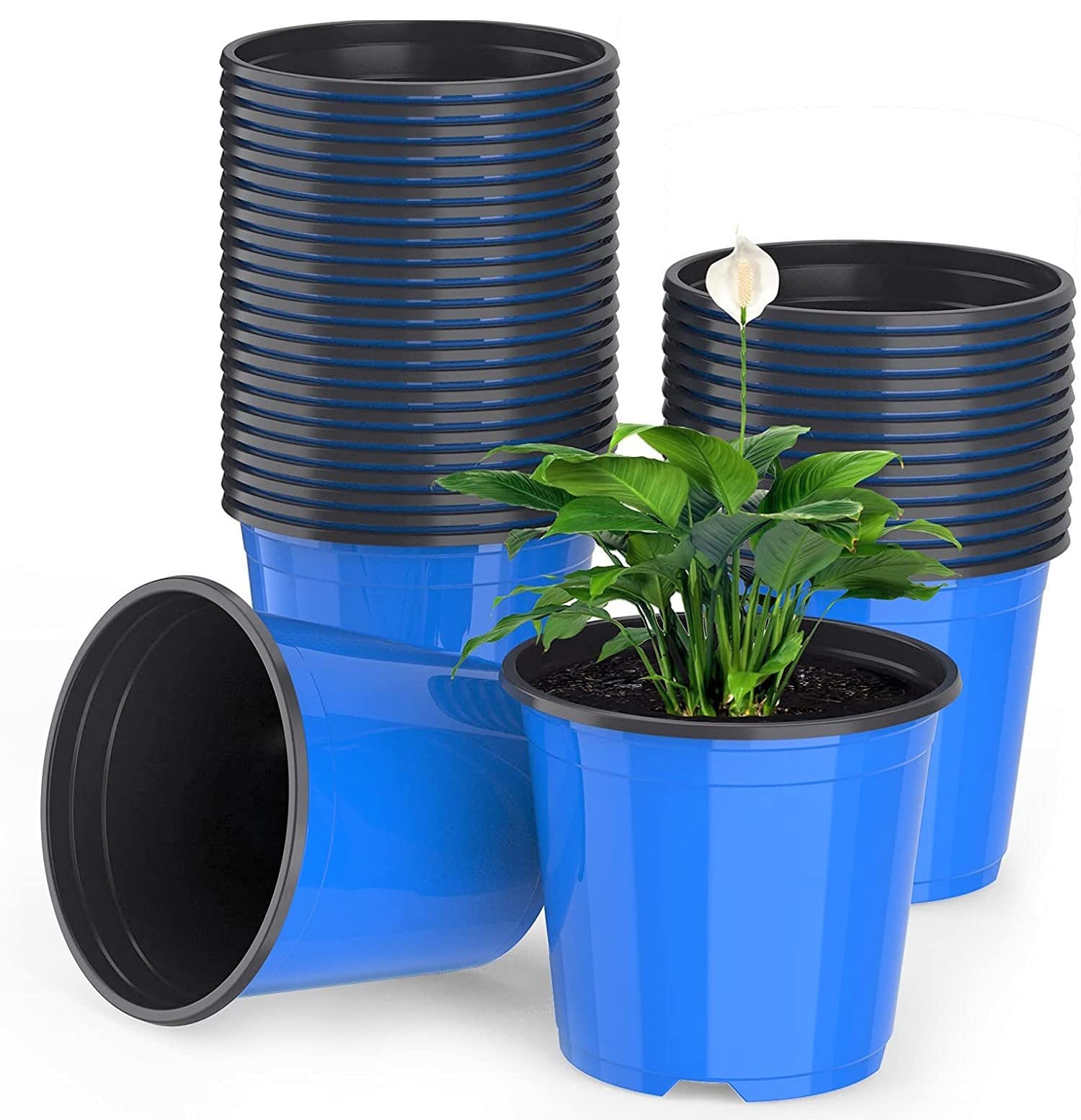 LATERN 50Pcs 15cm Plastic Plant Flower Pots, Blue Lightweight Seed Starting Pots Nursery Seedlings Pots Flower Plant Container (15 x 13cm)