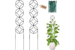 OYOEETD 24Inch Outdoor Plant Trellis for Climbing Plants,Metal Garden Trellis for Potted Plants,Plant Stakes for Indoor Plants Accessories Hoya,Flower,Plant Support,Plant Gifts (24IN-Coin)