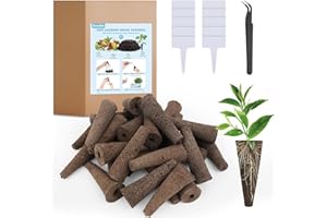 GoorDik 30 Pack Grow Sponges, Seed Starter Pods Compatible with AeroGarden,Refill Growth Sponge Kit,Grow Anything Kit with 10 Plant Labels and 1 Tweezers for Hydroponic Indoor Growing System
