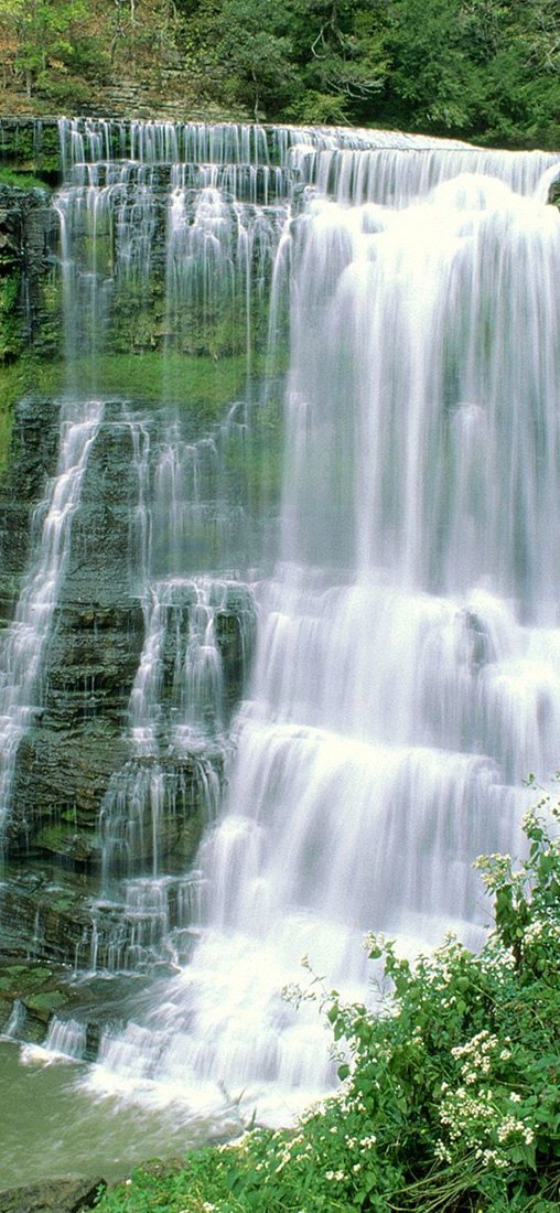PeelitStickit, Beautiful Nature Wall Murals, ID-0516, vinyl