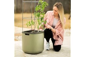 Vego garden Tomato Planter Box with Trellis Self-Watering Rolling Raised Garden Bed for Climbing Vegetables Plants Cage - Sage Green