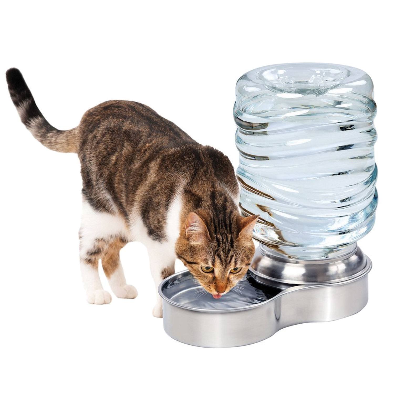 Etna Stainless Steel Pet Waterer Dog Cat Water Fountain Bowl - 1 Gallon Capacity