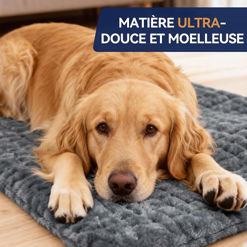 Coussin Chauffant, Coussin Chauffant Electrique, 9 Niveaux de Température