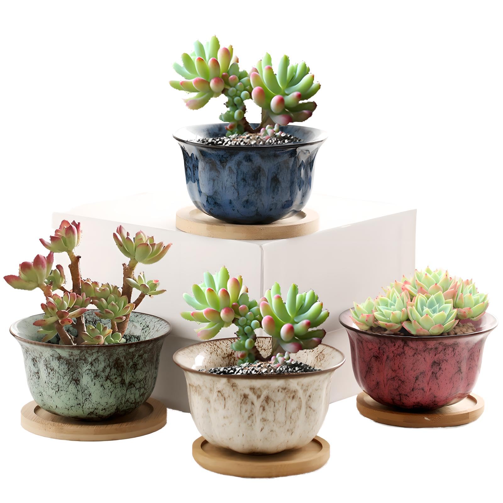 XUDREZ Ceramic Succulent Plant Pot Set of 4,Small Plant Pots Indoor with Tray,Mini Colourful Set Cactus Succulent Pots Home decorations Décor Style Two