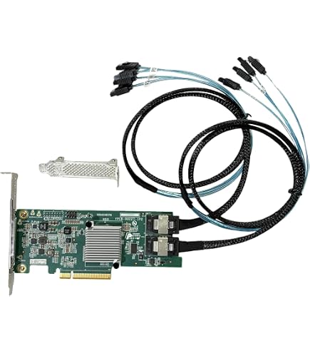 Amazon.com: LSI Logic MegaRAID SAS 9341-8i SGL LSI00407 : Electronics