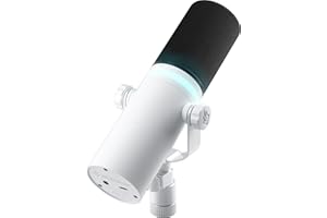 BEACN Light Dynamic USB Mic for PC | Professional Microphone for Podcast, Gaming, Streaming | Studio-Quality Desk Mic for YouTube, Twitch, and Recording | Microphone for PC, Gaming & Streaming