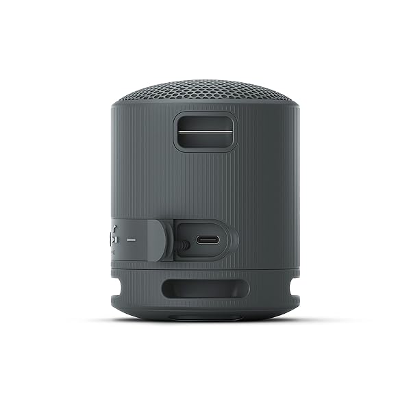SONY SRS-XB100 WIRELESS BLUETOOTH PORTABLE LIGHTWEIGHT SUPER-COMPACT TRAVEL SPEAKER, DURABLE IP67 WATERPROOF & DUSTPROOF SHOWER SPEAKER, 16 HOUR BATTERY, VERSATILE STRAP, & HANDS-FREE CALLING, BLACK