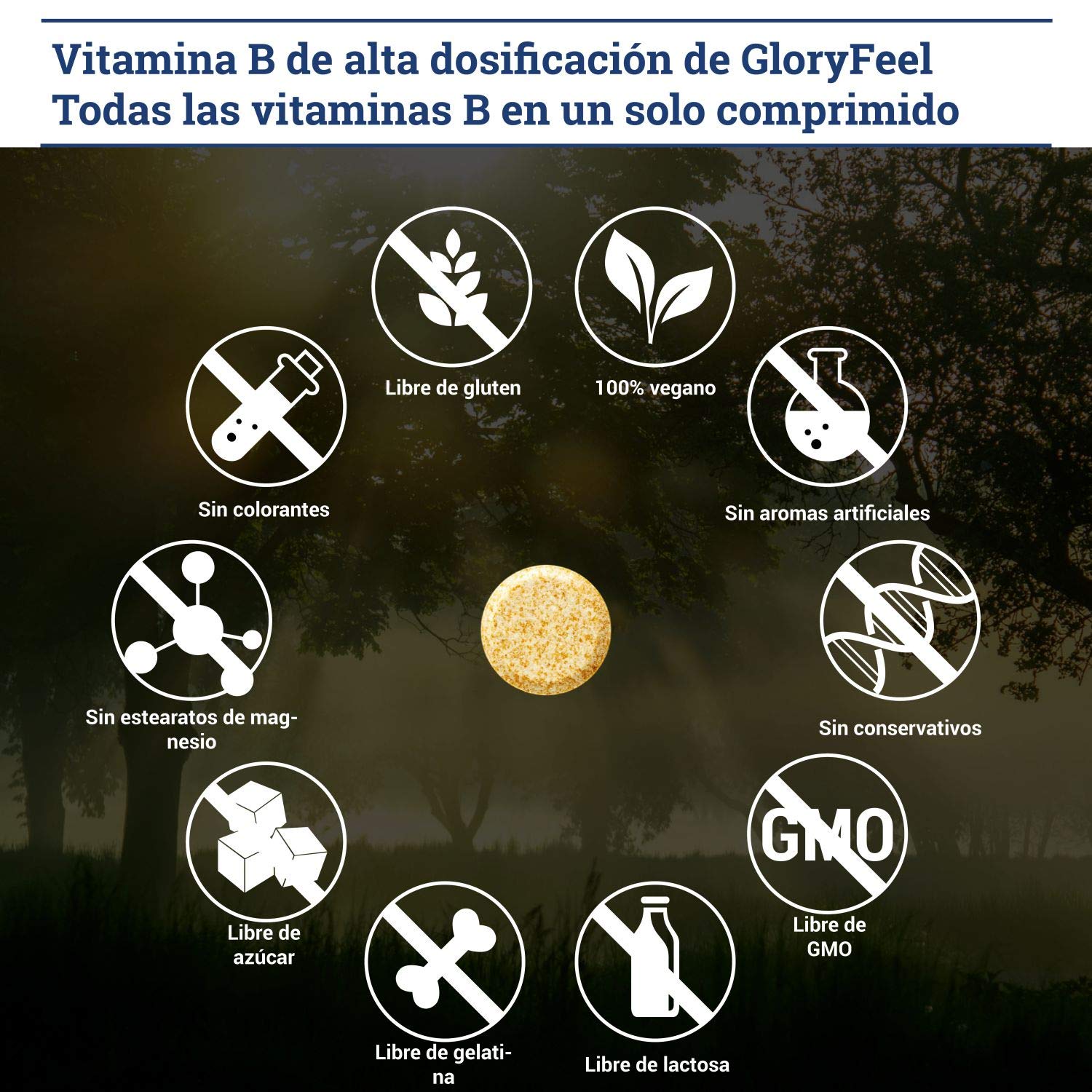 Vitamina B complex de alta dosificación - 200 comprimidos de vitamina b - Complejo Vitamina B las 8 vitaminas en una pastilla - B1 B2 B3 B5 B6 B7 (biotina) B9 (ácido fólico) y B12 de GloryFeel
