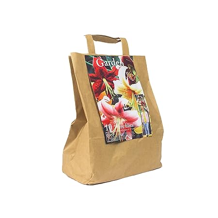 10 Baum-Lilien Tree Lilies Zwiebel-Mix in Geschenkverpackung - NEU!