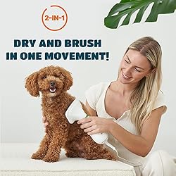 2-in-1 Dog Hair Dryer with Slicker Brush for