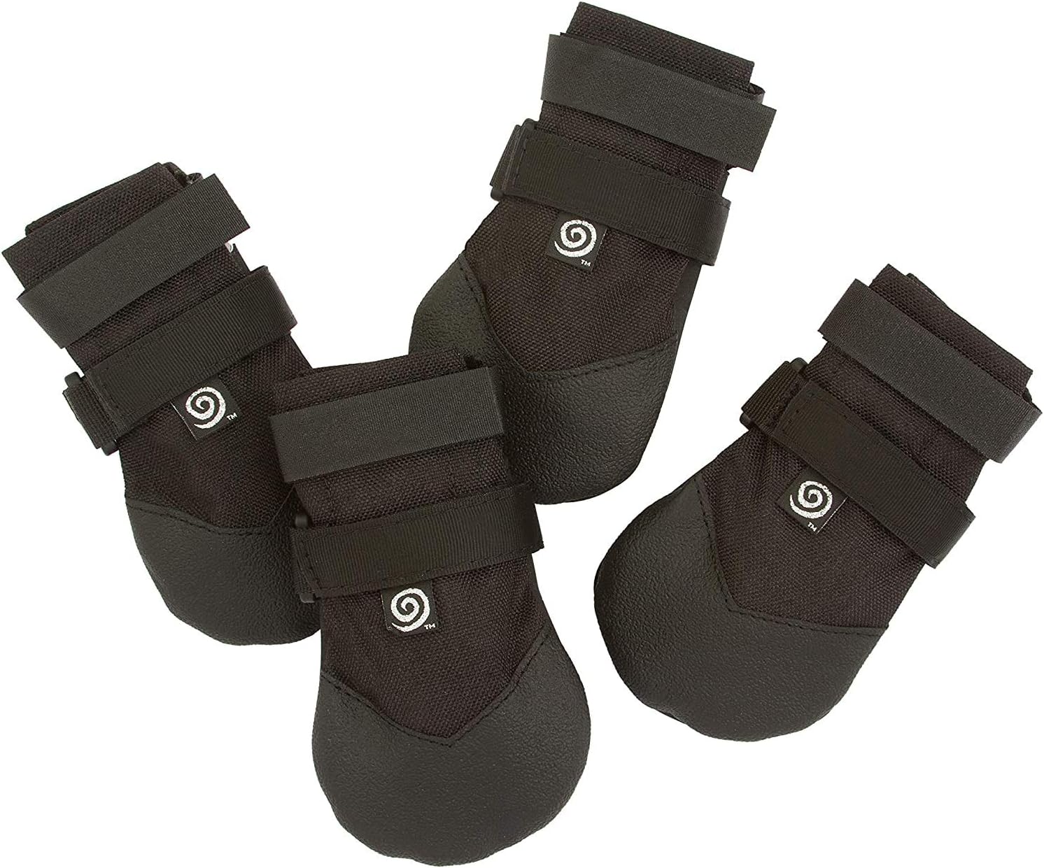 american bully 8 months old