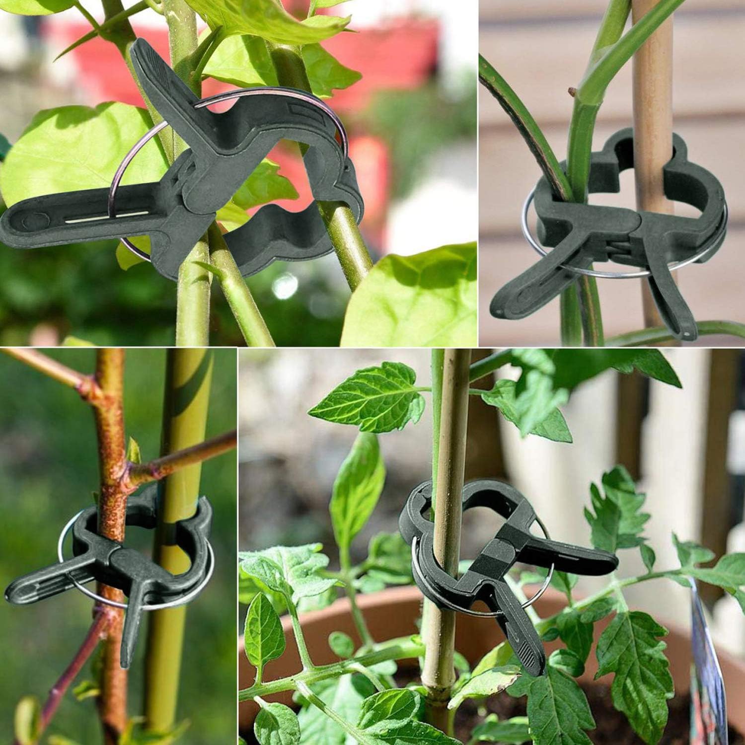 HIMETSUYA 220PCS Clips para Plantas de jardín, Clips Reutilizables ...