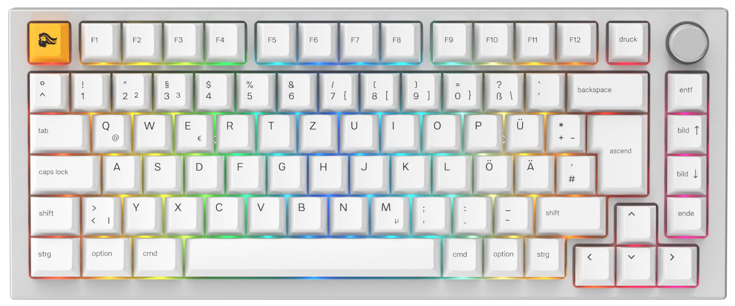 GLORIOUS Gaming GMMK PRO 75% - Modulares mechanisches Gaming-Keyboard, TKL, Grundgerüst 1,5 kg, voll anpassbar, Spiralkabel, Handgelenkablage, PBT-Tastenkappen - Deutsche QWERTZ-Belegung - Weiß 2