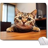 Cute Cat Square Mouse Pads for Wireless Mouse,Small Office Computer Mousepad for Desk Laptop,Non-Slip Rubber Base Mouse Pads for Desk Laptop Computer