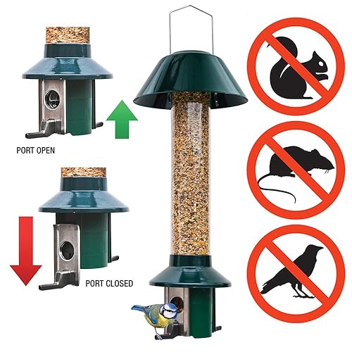 Squirrel Proof Wild Bird Feeder Dried Mealworm / Peanut / Suet Pellet