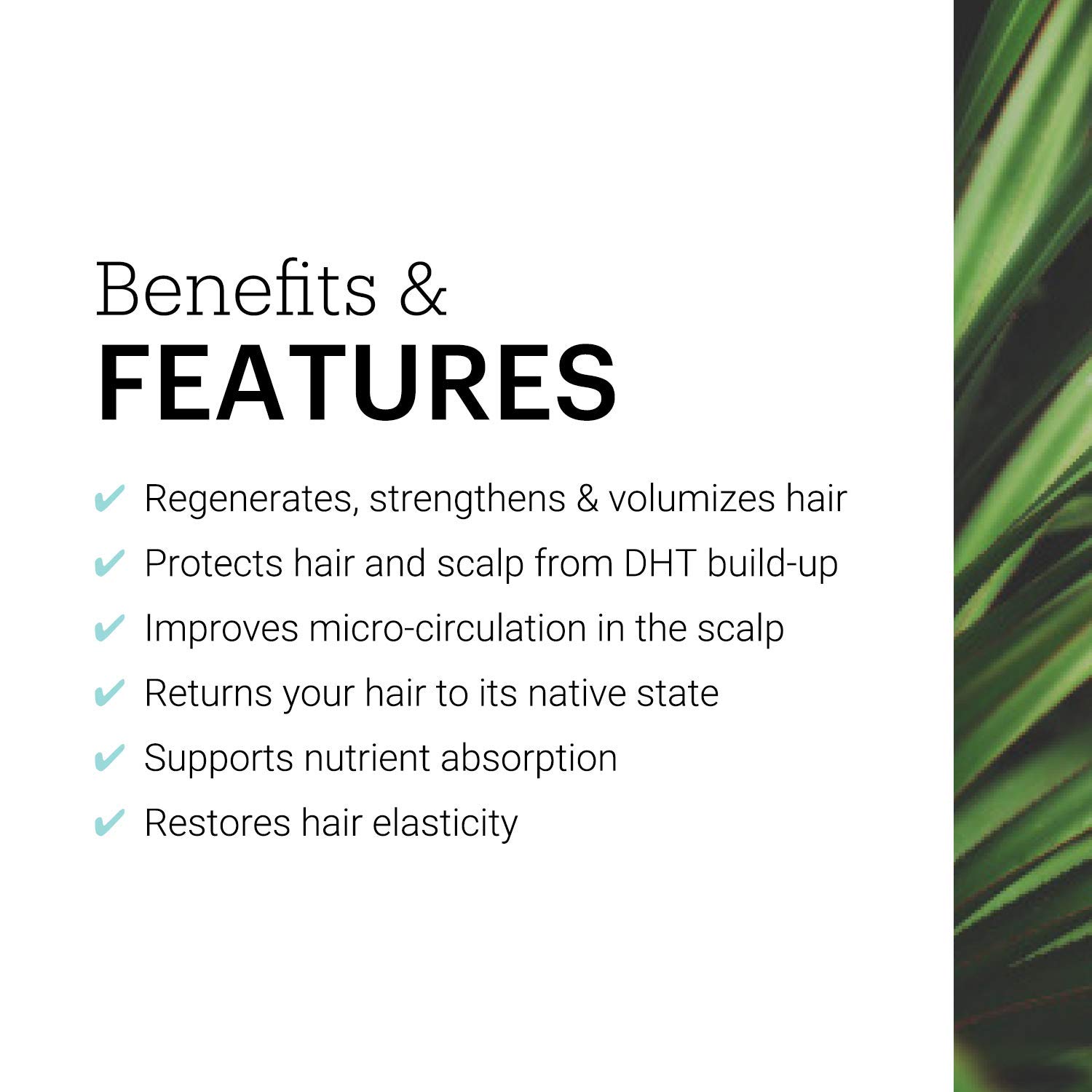 REVIV3 Procare 30 Day Trial Kit - 3-Part System for Fine and Thinning Hair - Sulfate and Paraben Free - Leave-In Hair Treatment Shampoo and Conditioner - Thinning Hair Treatment for Men and Women: Premium Beauty