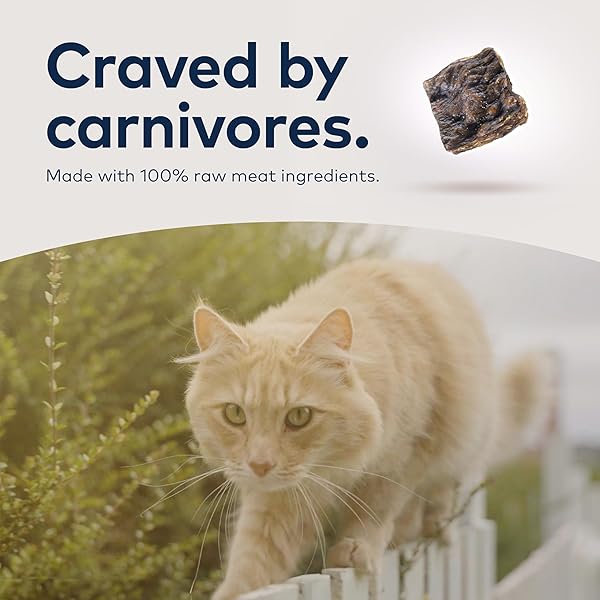 ZIWI PEAK AIR-DRIED CAT FOOD – LAMB – ALL NATURAL, HIGH PROTEIN, GRAIN FREE, LIMITED INGREDIENT W/ SUPERFOODS (35.2OZ)