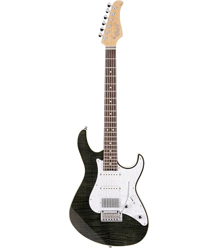 Amazon.com: Seymour Duncan JB Jr. Strat - Neck/Middle Black