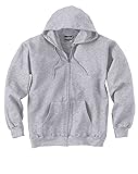 Hanes mens F280 athletic hoodies, Ash, Small US