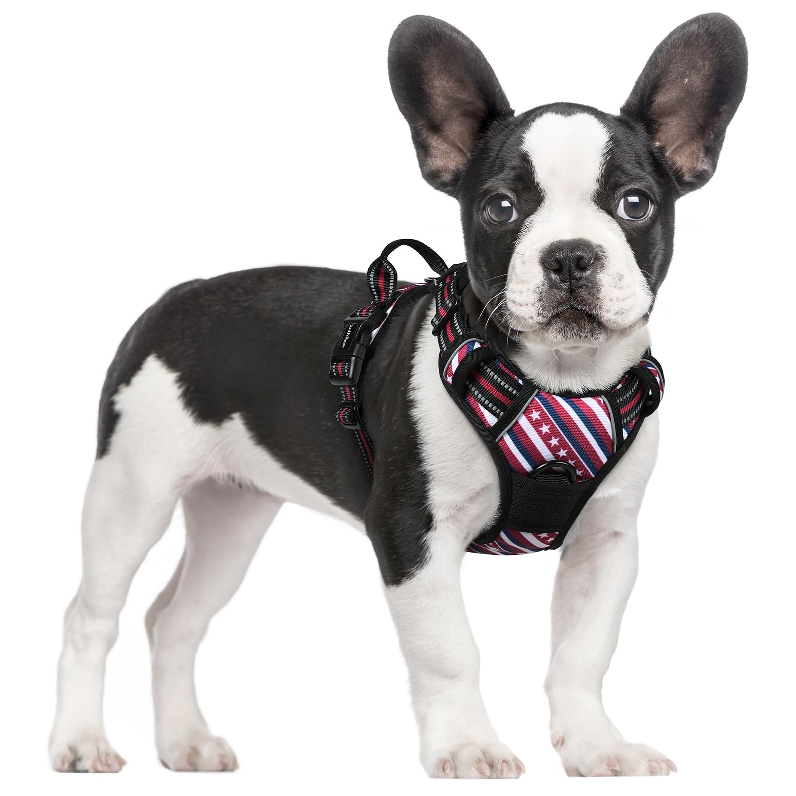 Photo 1 of rabbitgoo Dog Harness No Pull with 2 Leash Clips, Adjustable Soft Padded, Reflective Oxford No Choke Pet Vest with Easy Control Handle for Large Dogs, Red Stripe, S