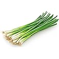 Fresh Green Onions Bunch by RawJoy Farms