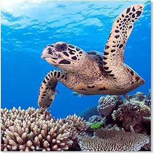 Amazon.com: Animal Modern Wall Art Tortoise Artwork Ribbon ...