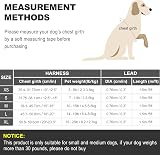 haapaw Dog Harness and Lead Set No Pull Reflective Step-in Vest for Small Dogs view 7