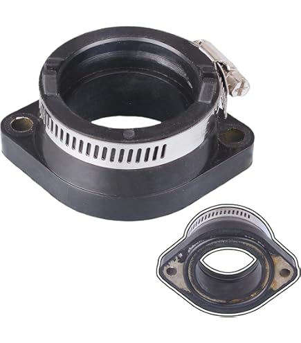 Amazon.com: Moto Tassinari VFORCE3 V313C Reed Valve System