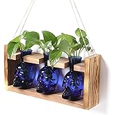 Plant Terrarium Propagation Stations Hydroponics Halloween Skull Planter Vase Skulls Decor with Wooden Stand Gift for Father