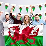 SHATCHI Welsh Flag 3x2 ft Wales Dragon Cymru Polyester Flag with Brass Eyelets view 7